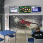 Κορυδαλλός